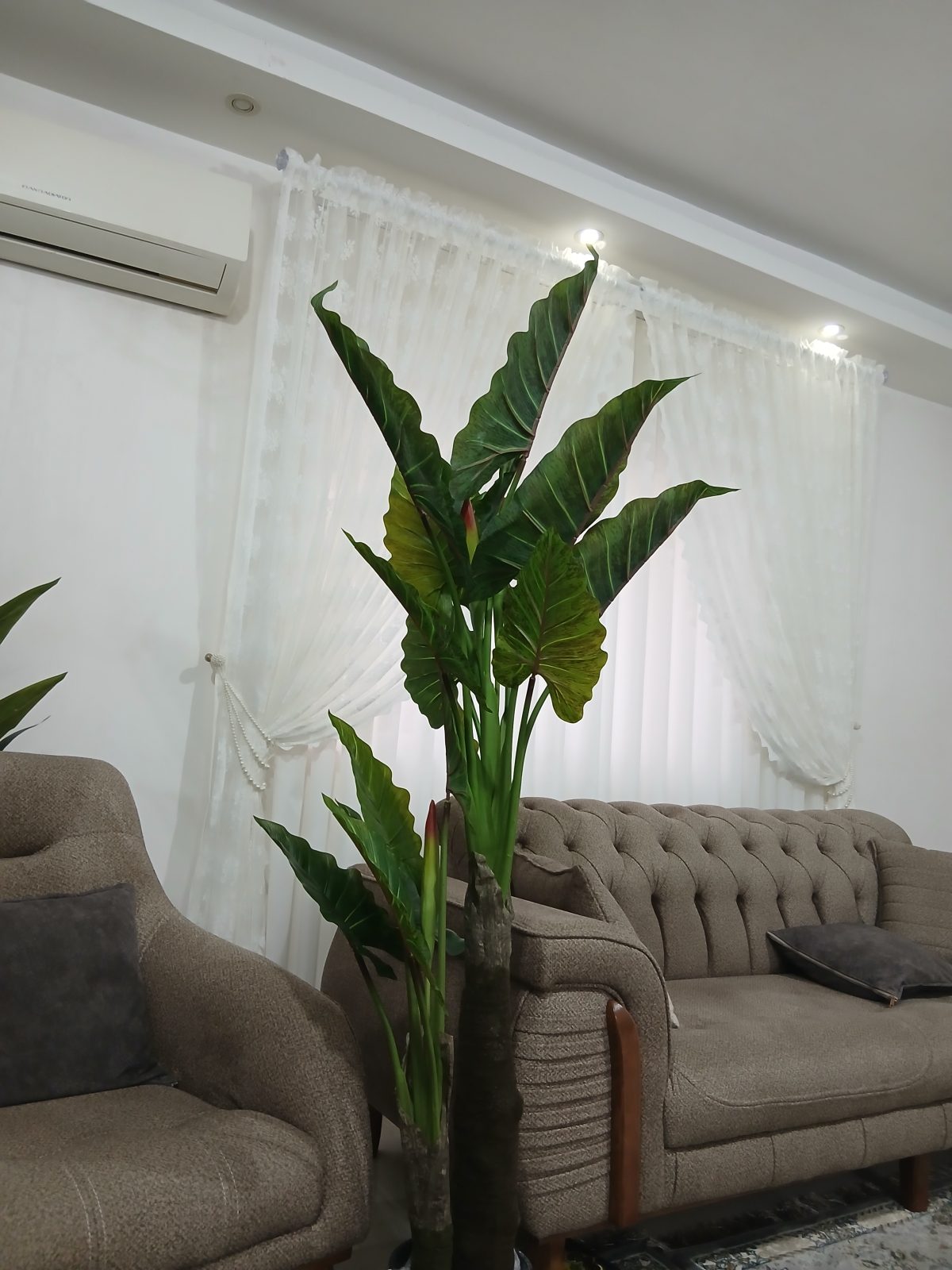 درختچه مصنوعی بابا ادم کاملا وارداتی درجه یک - Image 5