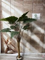 درختچه باباآدم مصنوعی تک تنه قد ۱۶۰/کاملا لوکس و دکوراتیو - تصویر 4