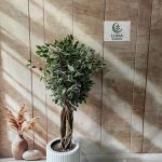 درختچه بنجامین ابلق مصنوعی/قد۱۳۰ کاملا لوکس ودکوراتیو