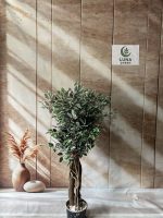 درختچه بنجامین ابلق مصنوعی/قد۱۳۰ کاملا لوکس ودکوراتیو - تصویر 2